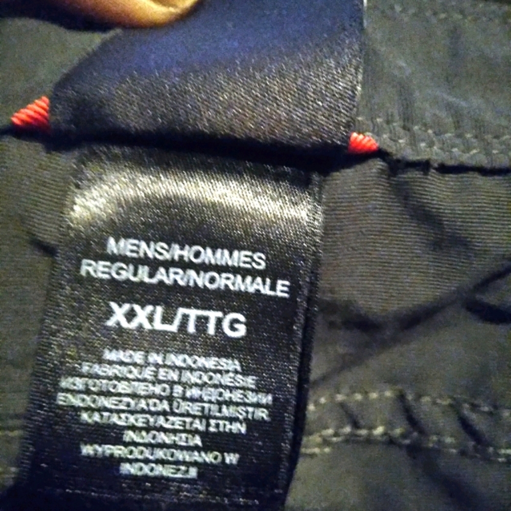 North face cargo shorts